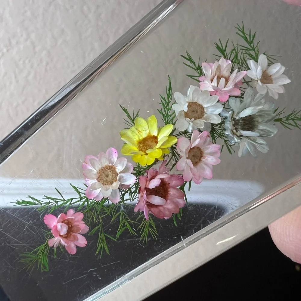 Vintage 1960s Lucite Floral Cake Server Mid Century Pastry Server By Clear Float